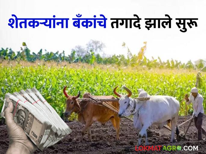Loan waiver? no but for recovery banks have started demanding from farmers | कर्जमाफी ? छे... वसुलीसाठी मात्र शेतकऱ्यांमागे बँकांचा तगादा लागला Loan waiver? no but for recovery banks have started demanding from farmers | कर्जमाफी ? छे... वसुलीसाठी मात्र शेतकऱ्यांमागे बँकांचा तगादा लागला