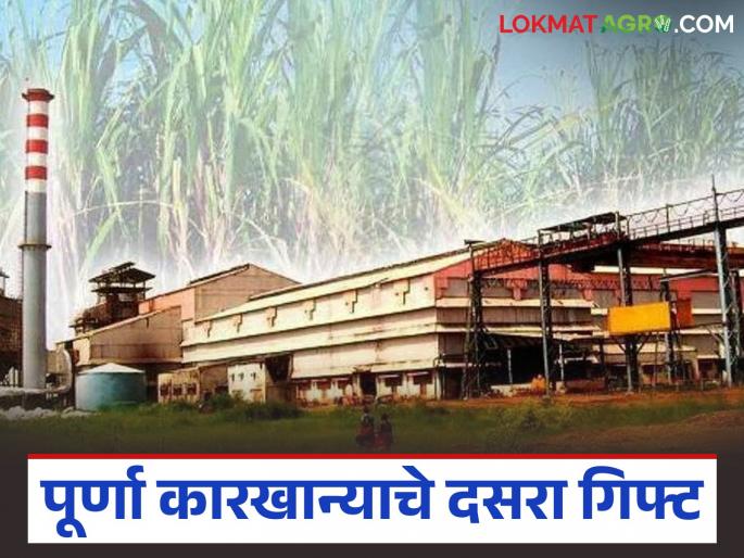 Dussehra gift to sugarcane growers from Purna Cooperative Sugar Factory; 106 crores deposited in account | पूर्णा सहकारी साखर कारखान्याचे ऊस उत्पादकांना दसरा गिफ्ट; १०६ कोटी खात्यात जमा