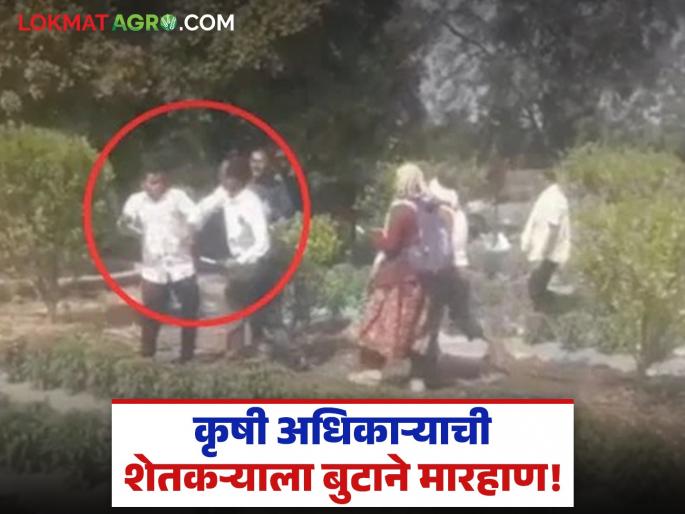 Farmer beaten with shoe by agriculture officer for asking about subsidy; Video goes viral | अनुदानाबाबत जाब विचारल्याने शेतकऱ्याला कृषी अधिकाऱ्याची बुटाने मारहाण; चित्रफित 'व्हायरल' Farmer beaten with shoe by agriculture officer for asking about subsidy; Video goes viral | अनुदानाबाबत जाब विचारल्याने शेतकऱ्याला कृषी अधिकाऱ्याची बुटाने मारहाण; चित्रफित 'व्हायरल'