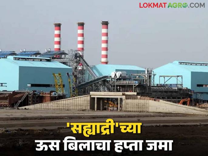 Sahyadri Sugar Factory receives first installment of sugarcane for crushing season | सह्याद्री साखर कारखान्याच्या गळीत हंगामातील उसाचा पहिला हप्ता जमा Sahyadri Sugar Factory receives first installment of sugarcane for crushing season | सह्याद्री साखर कारखान्याच्या गळीत हंगामातील उसाचा पहिला हप्ता जमा