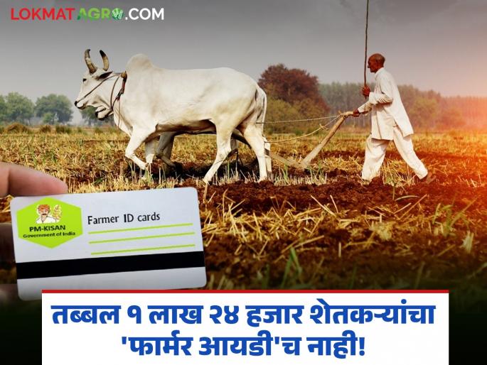 Want subsidy! Then remove Farmer ID; 1 lakh 24 thousand farmers of 'this' district do not have 'Farmer ID' | अनुदान हवंय! तर फार्मर आयडी काढा; 'या' जिल्ह्यातील १ लाख २४ हजार शेतकऱ्यांचा 'फार्मर आयडी'च नाही Want subsidy! Then remove Farmer ID; 1 lakh 24 thousand farmers of 'this' district do not have 'Farmer ID' | अनुदान हवंय! तर फार्मर आयडी काढा; 'या' जिल्ह्यातील १ लाख २४ हजार शेतकऱ्यांचा 'फार्मर आयडी'च नाही