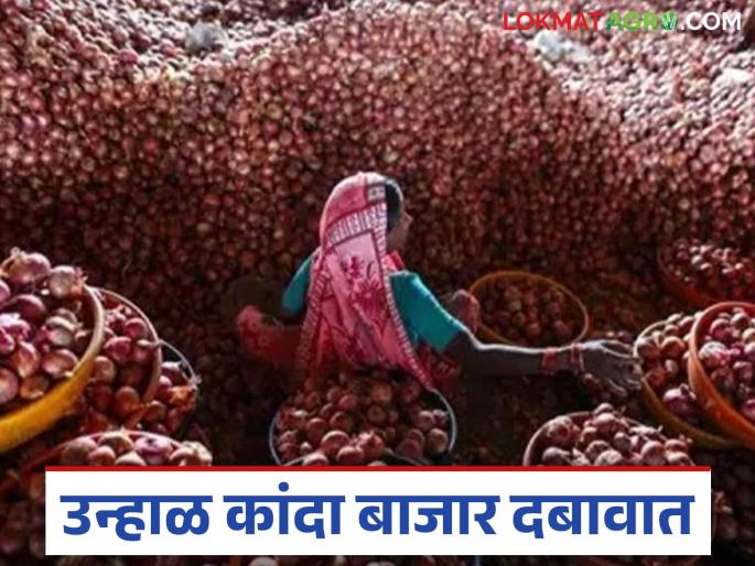 Kanda Bazaar Bhav: Most of the summer onions from Ahilyanagar district have entered the market; Read what is the price being offered | Kanda Bajar Bhav : अहिल्यानगर जिल्ह्यातून सर्वाधिक उन्हाळ कांदा बाजारात दाखल; वाचा काय मिळतोय दर Kanda Bazaar Bhav: Most of the summer onions from Ahilyanagar district have entered the market; Read what is the price being offered | Kanda Bajar Bhav : अहिल्यानगर जिल्ह्यातून सर्वाधिक उन्हाळ कांदा बाजारात दाखल; वाचा काय मिळतोय दर