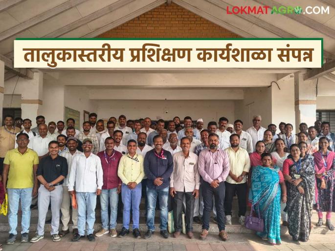 Taluka-level training workshop for Farmer Cup competition concluded in Nandgaon | नांदगावमध्ये फार्मर कप स्पर्धेसाठी तालुकास्तरीय प्रशिक्षण कार्यशाळा संपन्न Taluka-level training workshop for Farmer Cup competition concluded in Nandgaon | नांदगावमध्ये फार्मर कप स्पर्धेसाठी तालुकास्तरीय प्रशिक्षण कार्यशाळा संपन्न