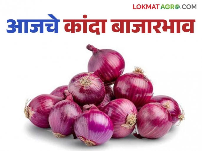 Kanda Bazaar Bhav: What is the price of onion in the state; Read today's onion market price | Kanda Bajar Bhav : राज्यात कांद्याला काय मिळतोय दर; वाचा आजचे कांदा बाजारभाव Kanda Bazaar Bhav: What is the price of onion in the state; Read today's onion market price | Kanda Bajar Bhav : राज्यात कांद्याला काय मिळतोय दर; वाचा आजचे कांदा बाजारभाव