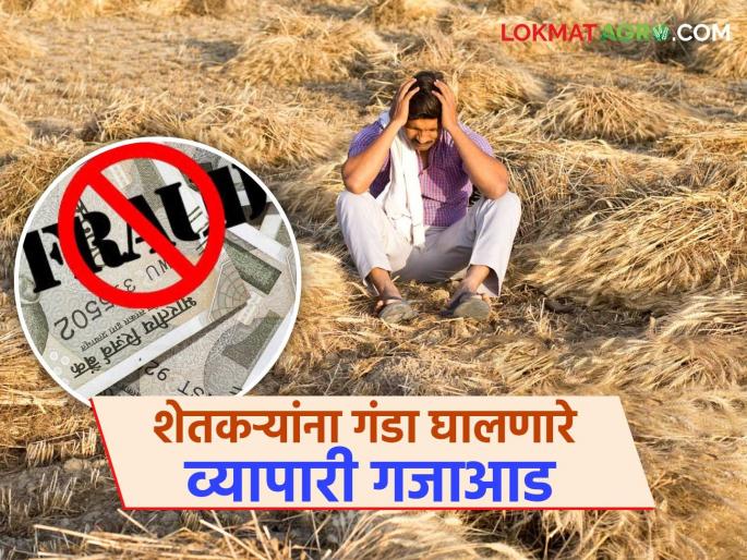 Three businessmen who cheated 125 farmers of 'Ya' district of Marathwada of Rs. 1.25 crore arrested | मराठवाड्याच्या 'या' जिल्ह्यातील १२५ शेतकऱ्यांना सव्वा कोटीचा गंडा घालणारे तीन व्यापारी गजाआड Three businessmen who cheated 125 farmers of 'Ya' district of Marathwada of Rs. 1.25 crore arrested | मराठवाड्याच्या 'या' जिल्ह्यातील १२५ शेतकऱ्यांना सव्वा कोटीचा गंडा घालणारे तीन व्यापारी गजाआड