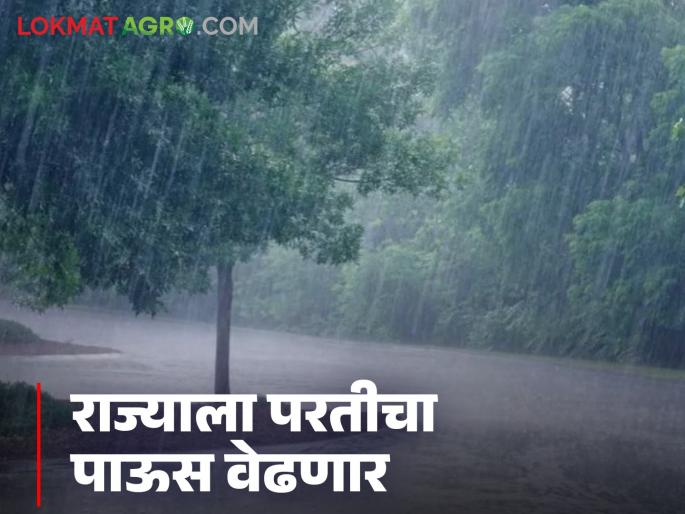 Maharashtra Rain: Monsoon has returned early this year; Heavy rains expected in the state for the next 5 days | Maharashtra Rain : यंदा वेळेआधीच मान्सूनने धरला परतीचा रस्ता; राज्यात पुढील ५ दिवस अति जोरदार पावसाचे Maharashtra Rain: Monsoon has returned early this year; Heavy rains expected in the state for the next 5 days | Maharashtra Rain : यंदा वेळेआधीच मान्सूनने धरला परतीचा रस्ता; राज्यात पुढील ५ दिवस अति जोरदार पावसाचे