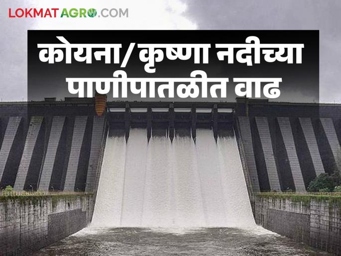 Residents near the Koyna River basin are alerted as the water level will rise | पाणीपातळीत वाढ होणार असल्याने कोयना नदी पात्राजवळील नागरिकांना सतर्कतेचा इशारा Residents near the Koyna River basin are alerted as the water level will rise | पाणीपातळीत वाढ होणार असल्याने कोयना नदी पात्राजवळील नागरिकांना सतर्कतेचा इशारा