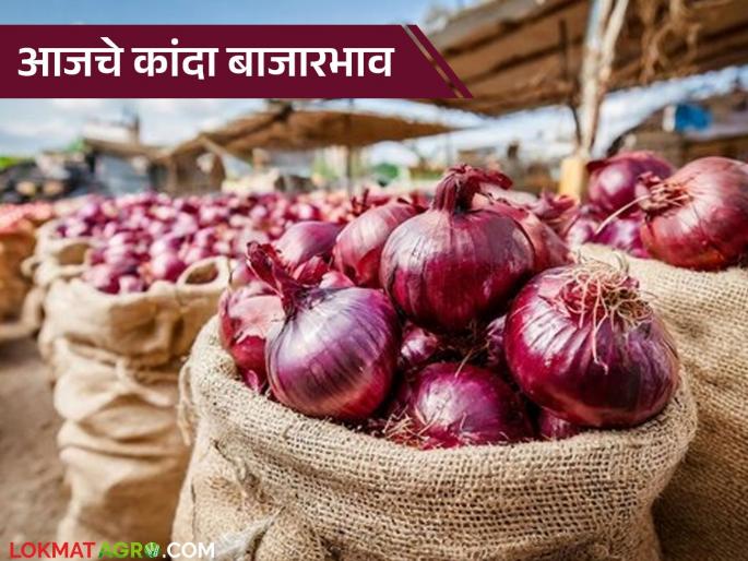 Kanda Bazaar Bhav: 2.5 lakh quintals of onion arrived in the state today; Read today's market prices | Kanda Bajar Bhav : राज्यात आज अडीच लाख क्विंटल कांदा आवक; वाचा आजचे बाजारभाव Kanda Bazaar Bhav: 2.5 lakh quintals of onion arrived in the state today; Read today's market prices | Kanda Bajar Bhav : राज्यात आज अडीच लाख क्विंटल कांदा आवक; वाचा आजचे बाजारभाव