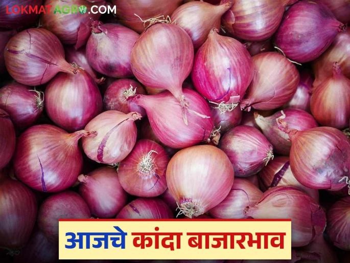 Kanda Bazaar Bhav: Read today's market prices of summer to red onions in the state | Kanda Bajar Bhav : राज्यातील उन्हाळ ते लाल कांद्याचे वाचा आजचे बाजारभाव Kanda Bazaar Bhav: Read today's market prices of summer to red onions in the state | Kanda Bajar Bhav : राज्यातील उन्हाळ ते लाल कांद्याचे वाचा आजचे बाजारभाव