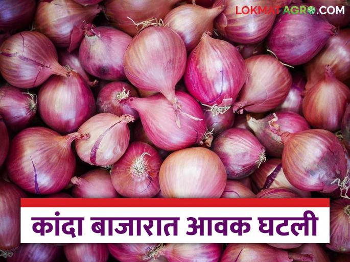 Kanda Bazaar Bhav: What was the price of onion in the state on Maharashtra Day? Read today's onion market price | Kanda Bajar Bhav : महाराष्ट्र दिनी राज्यात काय मिळाला कांद्याला दर ? वाचा आजचे कांदा बाजारभाव
