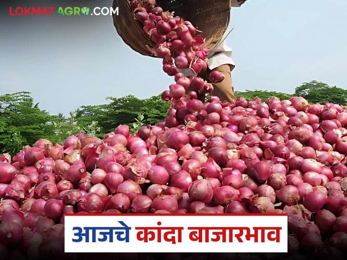 From Pune, Solapur to Nashik, Dhule; Find out where you can get the highest onion prices in today's market. | पुणे, सोलापूर ते नाशिक, धुळे; जाणून घ्या आजच्या बाजारभाव मध्ये कुठे मिळतोय सर्वाधिक कांदा दर From Pune, Solapur to Nashik, Dhule; Find out where you can get the highest onion prices in today's market. | पुणे, सोलापूर ते नाशिक, धुळे; जाणून घ्या आजच्या बाजारभाव मध्ये कुठे मिळतोय सर्वाधिक कांदा दर