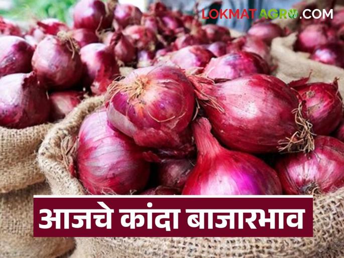 Highest summer onion prices in the market today from Nashik's Kalvan market; Read today's onion market price | नाशिकच्या कळवण बाजारातून आज सर्वाधिक उन्हाळ कांदा बाजारात; वाचा आजचे कांदा बाजारभाव