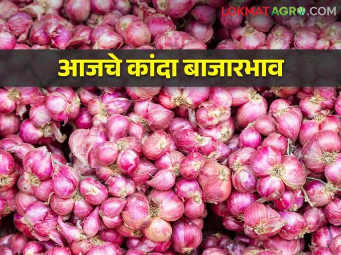 Kanda Bazaar Bhav: Chinchwad onion prices are rising; Read today's onion market price | Kanda Bajar Bhav : चिंचवड कांदा खातोय भाव; वाचा आजचे कांदा बाजारभाव