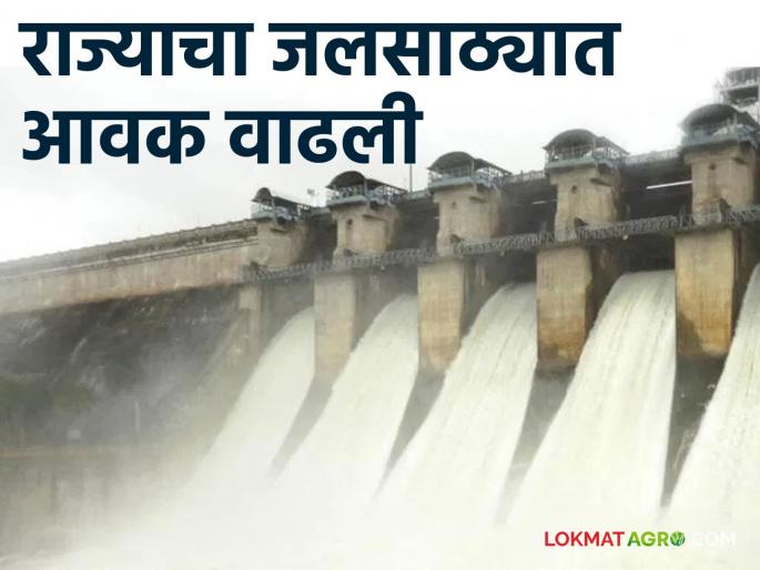 Maharashtra Dam Storage increased inflow into the state's water storage; Know the updated information about the water resources of the state | Maharashtra Dam Storage राज्याचा जलसाठ्यात आवक वाढली; जाणून घ्या राज्याच्या जलसाठ्याची अद्यावत माहिती Maharashtra Dam Storage increased inflow into the state's water storage; Know the updated information about the water resources of the state | Maharashtra Dam Storage राज्याचा जलसाठ्यात आवक वाढली; जाणून घ्या राज्याच्या जलसाठ्याची अद्यावत माहिती