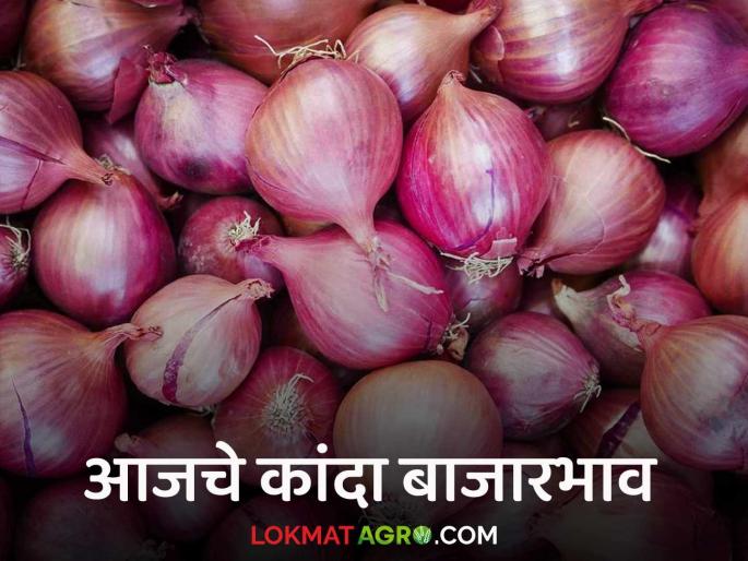 Kanda Bazaar Bhav: Where and how much is the price of onion in the state? Read today's onion market price | Kanda Bajar Bhav : राज्यात कांद्याला कुठे अन् किती मिळतोय दर ? वाचा आजचे कांदा बाजारभाव Kanda Bazaar Bhav: Where and how much is the price of onion in the state? Read today's onion market price | Kanda Bajar Bhav : राज्यात कांद्याला कुठे अन् किती मिळतोय दर ? वाचा आजचे कांदा बाजारभाव
