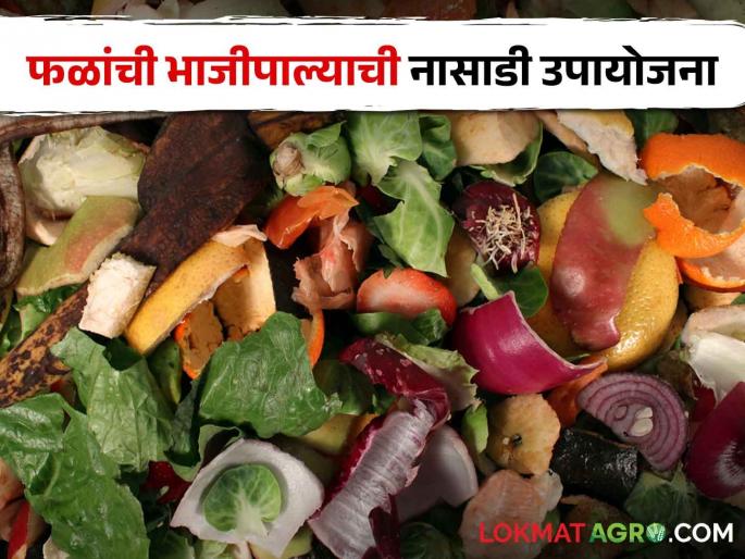 Fruit and vegetable processing spoilage factors and their remedies | फळे व भाजीपाला प्रक्रिया पदार्थाची नासाडी करणारे घटक व त्यावरील उपायोजना Fruit and vegetable processing spoilage factors and their remedies | फळे व भाजीपाला प्रक्रिया पदार्थाची नासाडी करणारे घटक व त्यावरील उपायोजना