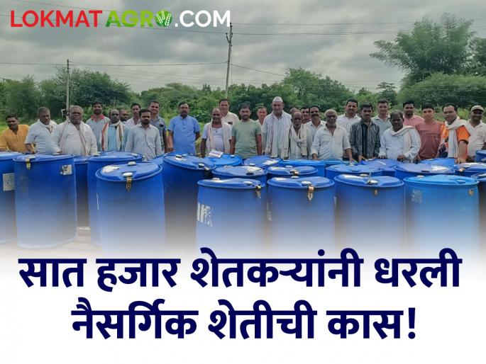 Organic Farming 7 thousand farmers have adopted organic farming; 17 thousand acres area under cultivation | Organic Farming सात हजार शेतकऱ्यांनी धरली नैसर्गिक शेतीची कास; १७ हजार एकर क्षेत्र लागवडीखाली