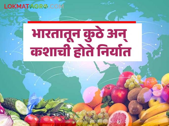 Which agricultural products are exported from India to where? Read detailed information | भारतातून कोणकोणत्या कृषी मालांची कुठे होतेय निर्यात? वाचा सविस्तर माहिती Which agricultural products are exported from India to where? Read detailed information | भारतातून कोणकोणत्या कृषी मालांची कुठे होतेय निर्यात? वाचा सविस्तर माहिती