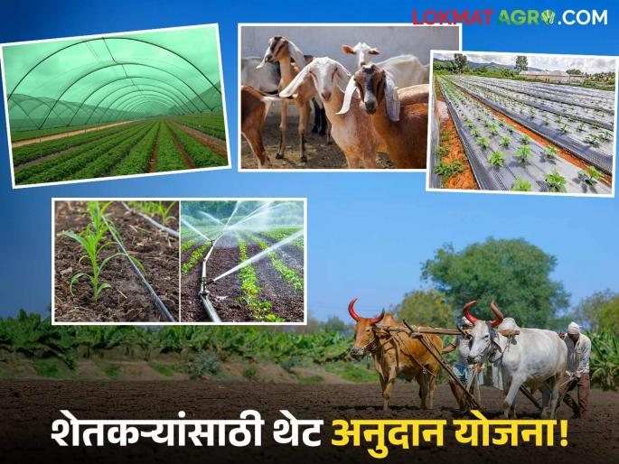 Scheme to encourage direct investment based on direct benefit transfer for agriculture launched; Read in detail | शेतीसाठी थेट लाभ हस्तांतरणावर आधारित थेट गुंतवणुकीस प्रोत्साहन देणारी योजना सुरू; वाचा सविस्तर