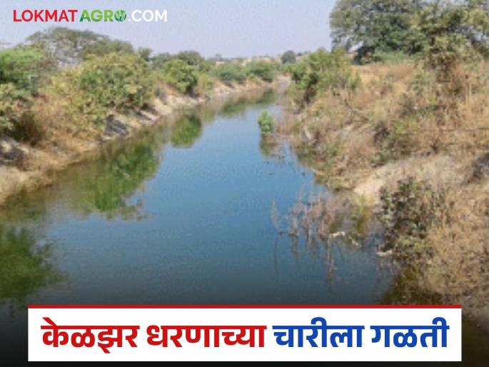 Leakage in Dangsaudane area of Keljar Dam; Citizens demand repair of the breach | केळझर धरणाच्या चारीला डांगसौदाणे परिसरात गळती; भगदाड दुरुस्त करावे नागरिकांनी मागणी Leakage in Dangsaudane area of Keljar Dam; Citizens demand repair of the breach | केळझर धरणाच्या चारीला डांगसौदाणे परिसरात गळती; भगदाड दुरुस्त करावे नागरिकांनी मागणी