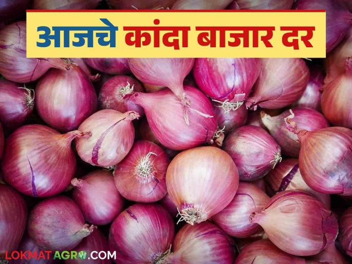 Kanda Bazaar Bhav: Arrivals stable but prices fall; Read today's onion market prices in the state | Kanda Bajar Bhav : आवक स्थिर मात्र दरात घसरण; वाचा राज्यातील आजचे कांदा बाजारभाव