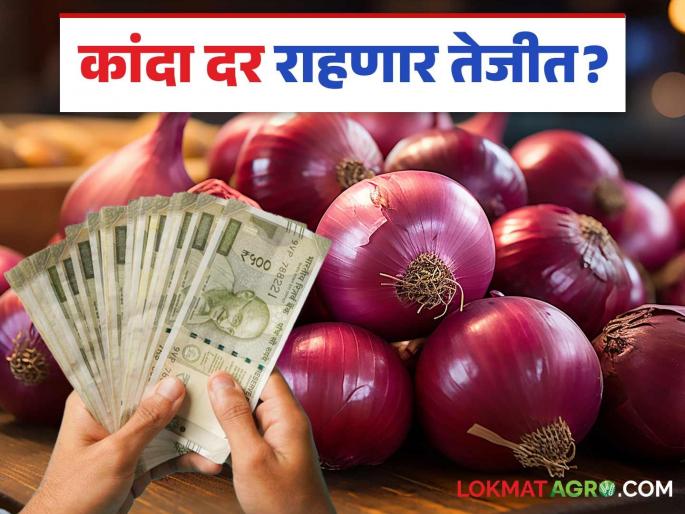 Red onion prices surge in Umrane Market Committee; Will prices continue to rise in the coming days? | उमराणे बाजार समितीमध्ये लाल कांद्याने घेतली उसळी; येणाऱ्या काळात दरांत राहणार तेजी? Red onion prices surge in Umrane Market Committee; Will prices continue to rise in the coming days? | उमराणे बाजार समितीमध्ये लाल कांद्याने घेतली उसळी; येणाऱ्या काळात दरांत राहणार तेजी?