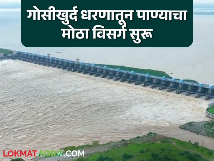 Wainganga river crosses danger level; Large water release from Gosikhurd dam begins | वैनगंगा नदीने ओलांडली धोकापातळी; गोसीखुर्द धरणातून पाण्याचा मोठा विसर्ग सुरू