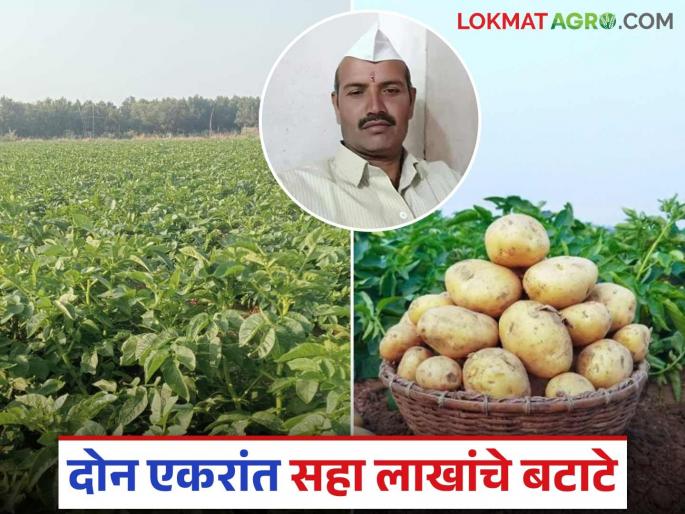Laxmanrao of Manavat took online lessons and became successful in potato farming; earned Rs. 6 lakhs from two acres | मानवतच्या लक्ष्मणरावांनी ऑनलाईन धडे घेत यशस्वी केली बटाटा शेती; दोन एकरांत सहा लाखांची कमाई Laxmanrao of Manavat took online lessons and became successful in potato farming; earned Rs. 6 lakhs from two acres | मानवतच्या लक्ष्मणरावांनी ऑनलाईन धडे घेत यशस्वी केली बटाटा शेती; दोन एकरांत सहा लाखांची कमाई