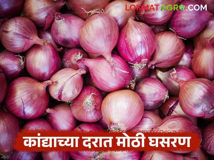 Big drop in onion prices in Phaltan Market Committee; Onion producers are facing financial loss | फलटण बाजार समितीत कांद्याच्या दरात मोठी घसरण; कांदा उत्पादकांना बसतोय आर्थिक फटका