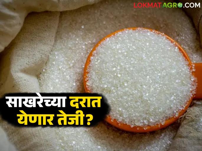 Sugar prices likely to rise due to reduced production; Read what's happening in the market on the occasion of Akshaya Tritiya | उत्पादन घटल्याने साखरेच्या दरात तेजीची शक्यता; अक्षय तृतीयेच्या निमित्ताने वाचा बाजारात काय आहे स्थिती Sugar prices likely to rise due to reduced production; Read what's happening in the market on the occasion of Akshaya Tritiya | उत्पादन घटल्याने साखरेच्या दरात तेजीची शक्यता; अक्षय तृतीयेच्या निमित्ताने वाचा बाजारात काय आहे स्थिती