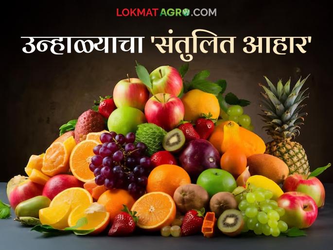 What to eat? What to avoid? Read what experts say to maintain body balance in summer | काय खाणार? काय टाळणार? उन्हाळ्यात शरीराचे संतुलन राखण्यासाठी वाचा तज्ञ काय सांगताहेत What to eat? What to avoid? Read what experts say to maintain body balance in summer | काय खाणार? काय टाळणार? उन्हाळ्यात शरीराचे संतुलन राखण्यासाठी वाचा तज्ञ काय सांगताहेत