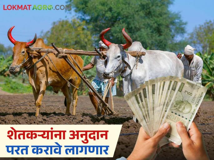 Names of farmers from villages outside the list of flood-affected villages eligible for subsidy; Tehsildar issues notice | पूरग्रस्त गावांच्या यादीत बाहेर गावातील शेतकऱ्यांची नावे अनुदानासाठी पात्र; तहसीलदारांनी बजावली नोटीस Names of farmers from villages outside the list of flood-affected villages eligible for subsidy; Tehsildar issues notice | पूरग्रस्त गावांच्या यादीत बाहेर गावातील शेतकऱ्यांची नावे अनुदानासाठी पात्र; तहसीलदारांनी बजावली नोटीस