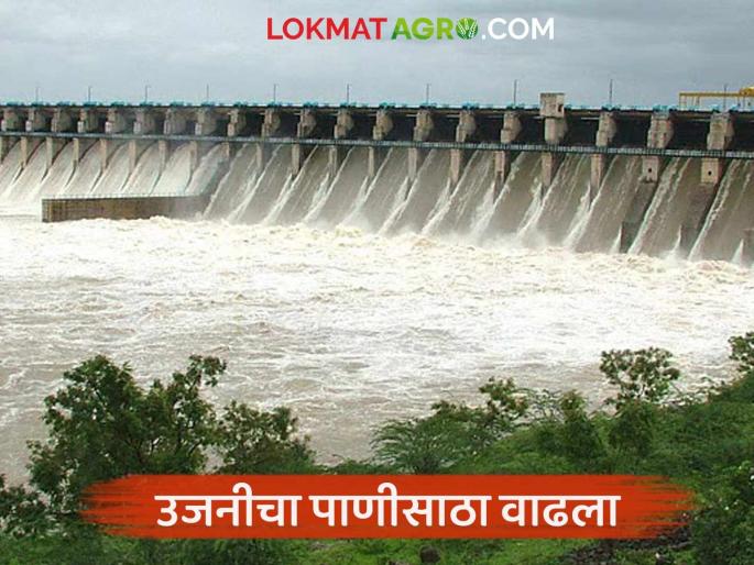 Ujani water storage increased; 137 mm of rainfall recorded in the last eight days in the dam area | उजनीचा पाणीसाठा वाढला; धरण क्षेत्रात गेल्या आठ दिवसांत १३७ मि.मी. पावसाची नोंद