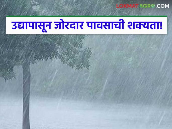 Heavy rains likely in Vidarbha including Akola, Nagpur from tomorrow; Read detailed weather report | अकोला, नागपूरसह विदर्भात उद्यापासून जोरदार पावसाची शक्यता; वाचा सविस्तर हवामान वृत्त