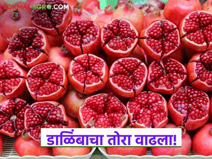 Pomegranate harvest increased; Damage due to heavy rains and increased incidence of diseases led to increase in prices | डाळिंबाचा तोरा वाढला; अतिवृष्टीने नुकसान तर रोगांचा प्रादुर्भाव वाढल्याने दरात वाढ