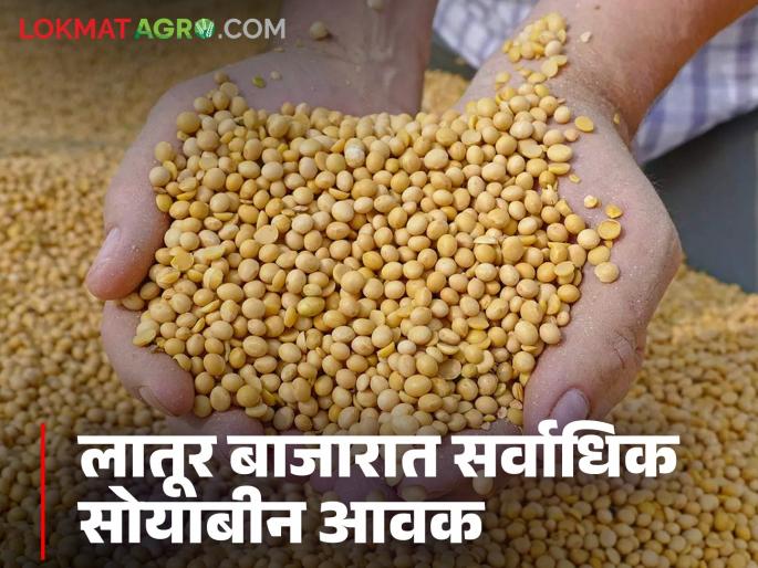 What is the status of soybean prices in the state market? Read today's soybean market prices | राज्याच्या बाजारात सोयाबीन दराची काय आहे स्थिती? वाचा आजचे सोयाबीन बाजारभाव