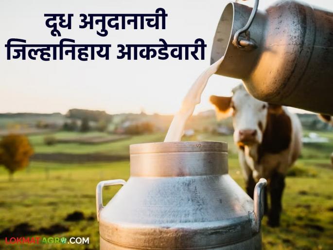 Milk subsidy: How much milk subsidy did your district receive? Read the district-wise list of milk subsidy worth Rs 534 crore | Dudh Anudan : तुमच्या जिल्ह्याने किती दूध अनुदान घेतले? वाचा ५३४ कोटी रुपयांच्या दूध अनुदानाची जिल्हानिहाय यादी