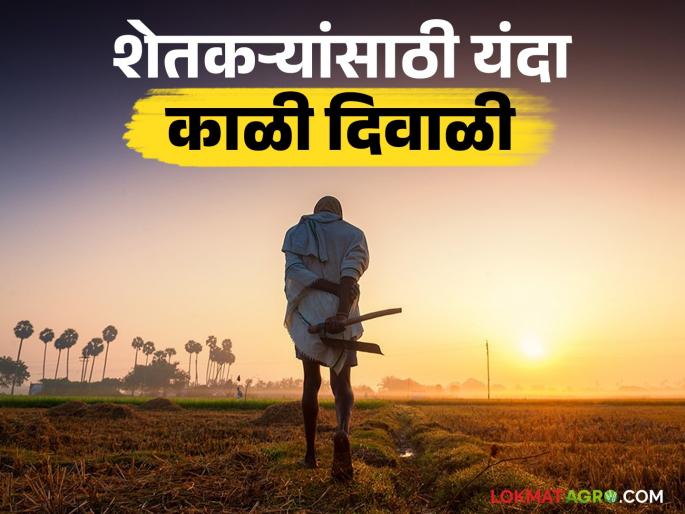 This year is a black Diwali for farmers; crops are perishing due to lack of prices in the market, but prices of Diwali materials have increased | शेतकऱ्यांसाठी यंदा काळी दिवाळी; बाजारात भाव नसल्याने पिकांचे मातेरे, दिवाळी साहित्याच्या किमतीत मात्र वाढ