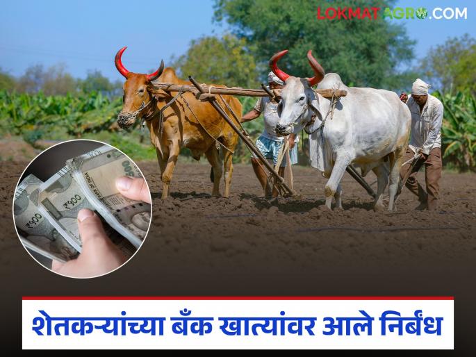 Restrictions have been imposed on the bank accounts of one lakh farmers in 'this' district of the state; Read what is the matter | राज्याच्या 'या' जिल्ह्यातील एक लाख शेतकऱ्यांच्या बँक खात्यांवर आले निर्बंध; वाचा काय आहे प्रकरण Restrictions have been imposed on the bank accounts of one lakh farmers in 'this' district of the state; Read what is the matter | राज्याच्या 'या' जिल्ह्यातील एक लाख शेतकऱ्यांच्या बँक खात्यांवर आले निर्बंध; वाचा काय आहे प्रकरण