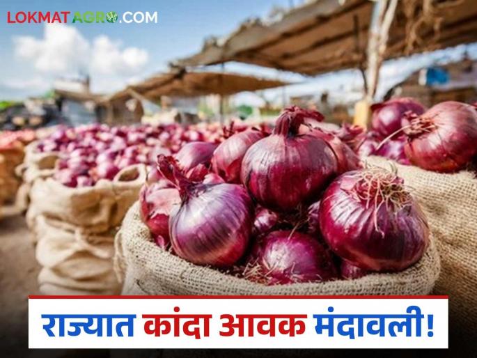 Kanda Bazaar Bhav: Onion market arrivals slow; Read today's onion market price | Kanda Bajar Bhav : कांदा बाजारात आवक मंदावली; वाचा आजचे कांदा बाजारभाव Kanda Bazaar Bhav: Onion market arrivals slow; Read today's onion market price | Kanda Bajar Bhav : कांदा बाजारात आवक मंदावली; वाचा आजचे कांदा बाजारभाव