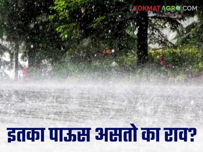 Does it rain so much, Rao? Before Rohini Nakshatra, it rains everywhere. | इतका पाऊस असतो का राव ? रोहिणी नक्षत्रा अगोदर सगळीकडे पावसाने पाणीच पाणी