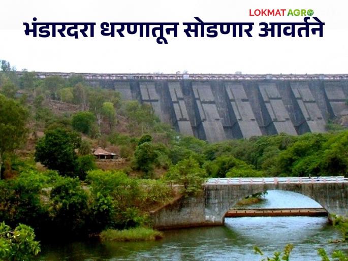 Bhandardara Water Release: 4 rounds of water will be released from Bhandardara Dam; Support will be provided for Rabi season including summer crops | Bhandardara Water Release : भंडारदरा धरणातून सोडणार ४ आवर्तने; उन्हाळी पिकांसह रब्बीसाठी मिळणार आधार Bhandardara Water Release: 4 rounds of water will be released from Bhandardara Dam; Support will be provided for Rabi season including summer crops | Bhandardara Water Release : भंडारदरा धरणातून सोडणार ४ आवर्तने; उन्हाळी पिकांसह रब्बीसाठी मिळणार आधार