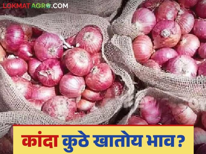 Kanda Bazaar Bhav: What is the price of Nashik's red onion? Read today's onion market price | Kanda Bajar Bhav : नाशिकच्या लाल कांद्याला काय मिळतोय दर; वाचा आजचे कांदा बाजारभाव Kanda Bazaar Bhav: What is the price of Nashik's red onion? Read today's onion market price | Kanda Bajar Bhav : नाशिकच्या लाल कांद्याला काय मिळतोय दर; वाचा आजचे कांदा बाजारभाव