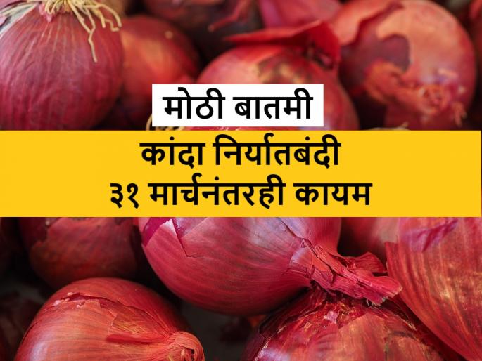 Government had extended onion export ban further after 31st March 24; create panic in Nashik farmers | ‘केंद्र सरकार कांद्याला घाबरले म्हणून ३१ मार्चनंतरही निर्यातबंदी कायम केली’ Government had extended onion export ban further after 31st March 24; create panic in Nashik farmers | ‘केंद्र सरकार कांद्याला घाबरले म्हणून ३१ मार्चनंतरही निर्यातबंदी कायम केली’