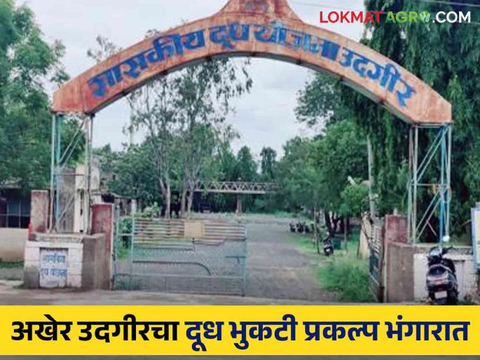 Goverment Milk Powder Project Udgir: Finally the government milk powder project of Udgir is scrapped | Goverment Milk Powder Project Udgir : अखेर उदगीरचा शासकीय दूध भुकटी प्रकल्प भंगारात Goverment Milk Powder Project Udgir: Finally the government milk powder project of Udgir is scrapped | Goverment Milk Powder Project Udgir : अखेर उदगीरचा शासकीय दूध भुकटी प्रकल्प भंगारात