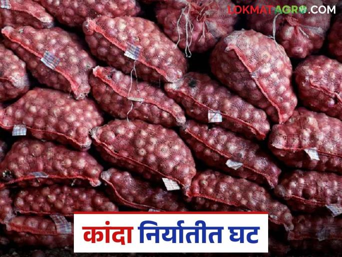 Country's onion exports drop by 32 percent; foreign exchange also decreases | देशाच्या कांदा निर्यातीत ३२ टक्क्यांनी घट; परकीय चलनही झाले कमी Country's onion exports drop by 32 percent; foreign exchange also decreases | देशाच्या कांदा निर्यातीत ३२ टक्क्यांनी घट; परकीय चलनही झाले कमी