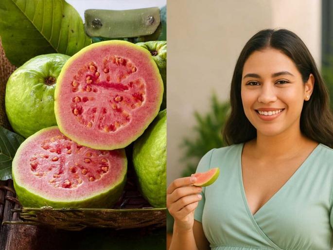 What is the best time to eat guava for health benefits Can guava help in curing cold and cough naturally Why guava is the best fruit to eat during winter season | हिवाळ्यात रामबाण आहे पेरु! फक्त 'या' वेळी खा, सर्दी-खोकल्यापासून मिळेल आराम