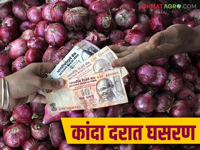 Kanda Bazaar: Onion prices fall in Umrane Market Committee; Arrivals are also declining | Kanda Bajar : उमराणे बाजार समितीत कांद्याच्या दरात घसरण; आवकेत देखील होतेय घट
