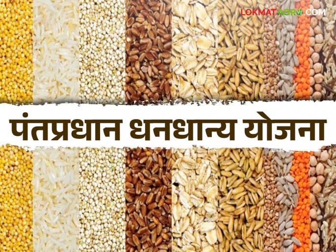 Will migration from agriculture or rural areas, either for necessity or for survival, stop? | शेतीतून किंवा ग्रामीण भागातून नाइलाजाने किंवा जगण्यासाठी होणारे स्थलांतर थांबेल?