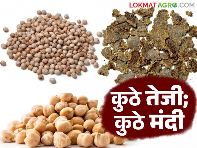 Rising prices of Cotton cake and pigeon pea while edible oil and gold and silver decline; Read market review | सरकी ढेप, तूर तेजीत तर खाद्यतेलासह सोन्या-चांदीत मंदी; वाचा बाजार आढावा Rising prices of Cotton cake and pigeon pea while edible oil and gold and silver decline; Read market review | सरकी ढेप, तूर तेजीत तर खाद्यतेलासह सोन्या-चांदीत मंदी; वाचा बाजार आढावा